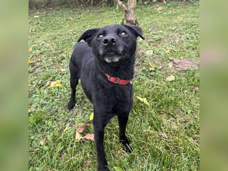 Suncica ein Sonnenschein