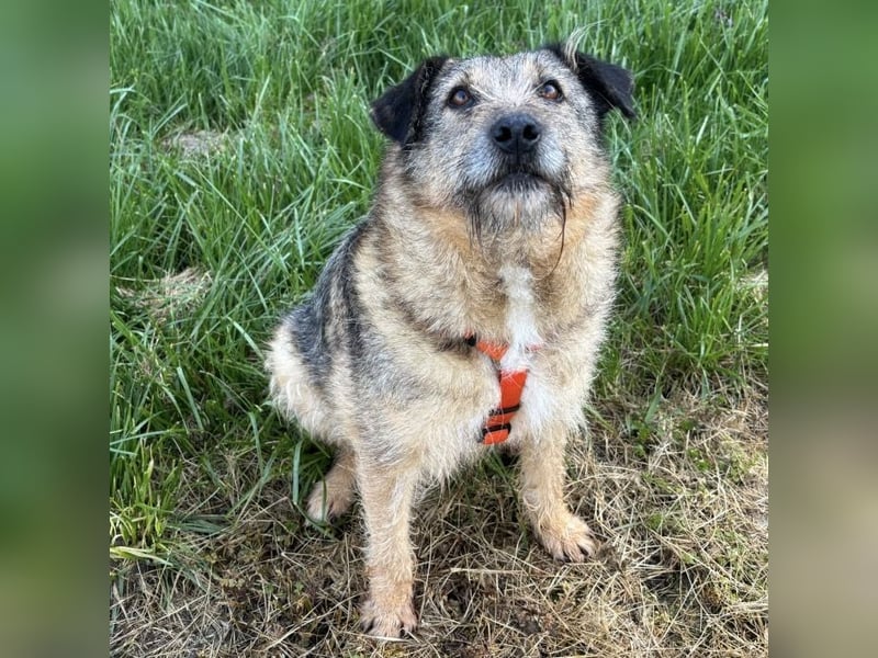 Mars der allerliebste