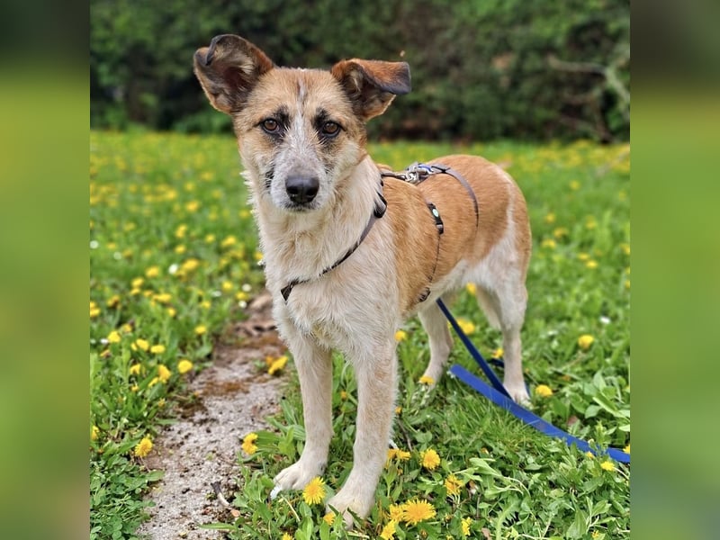 Tina - ein traumhaft lieber Wesen