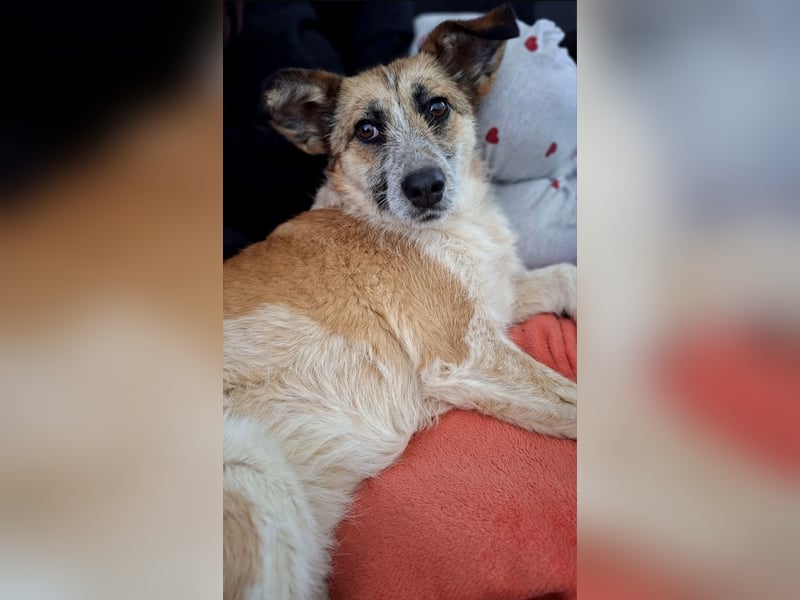 Tina - ein traumhaft lieber Wesen