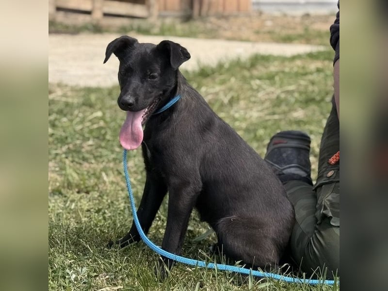 Paulina mag nicht im Tierheim aufwachsen