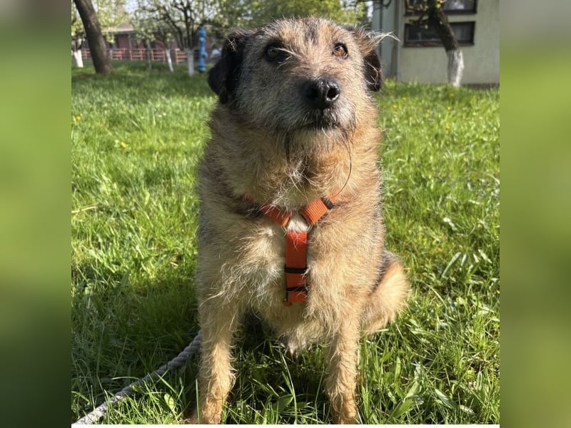 Mars der allerliebste