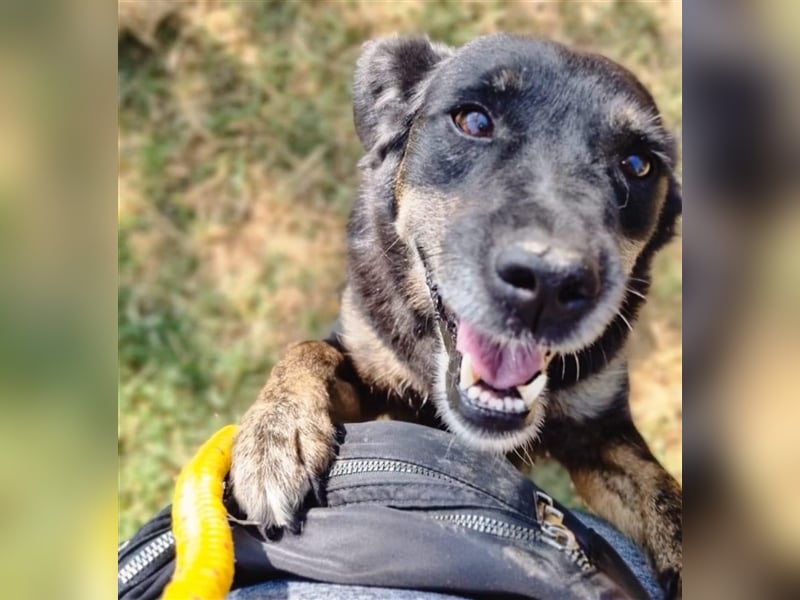 Liebevolle Eva wartet bereits seit zwei Jahren