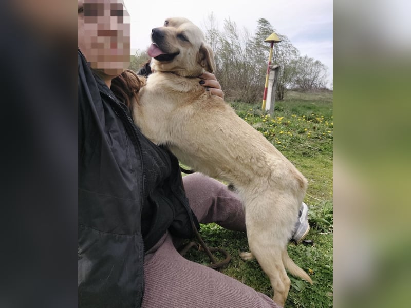 Emilio ein sanfter Engel