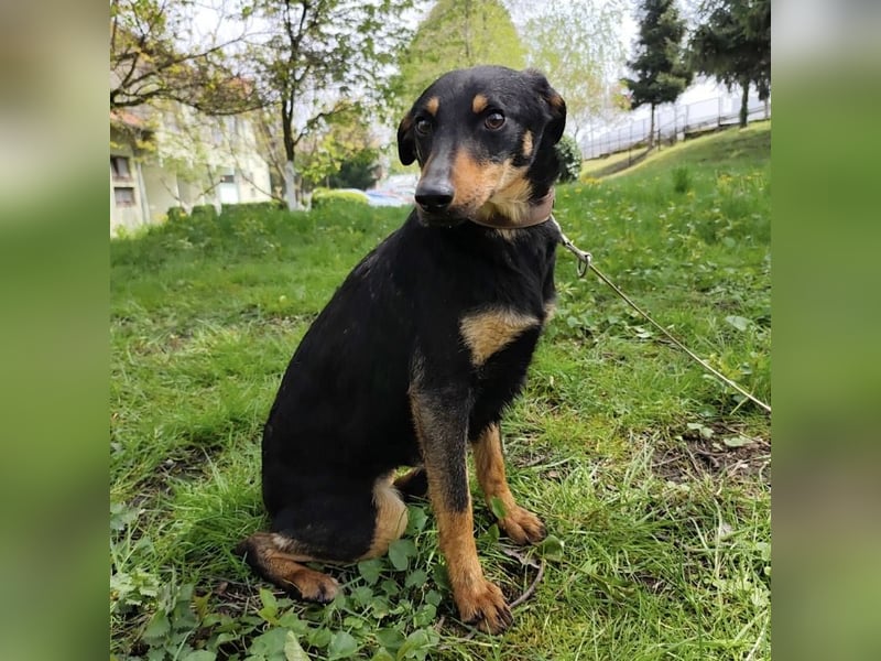 Eletta ein sanfter Engel