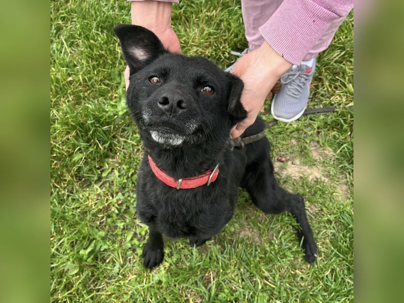 Suncica ein Sonnenschein