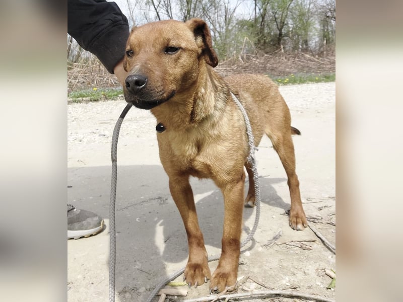 Zurück wartet viel zu lange