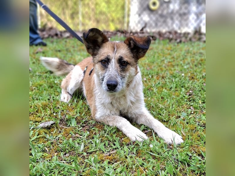 Tina - ein traumhaft lieber Wesen