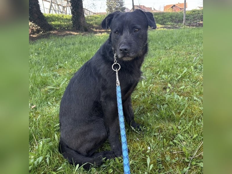 Juri ein sanfter Schatz