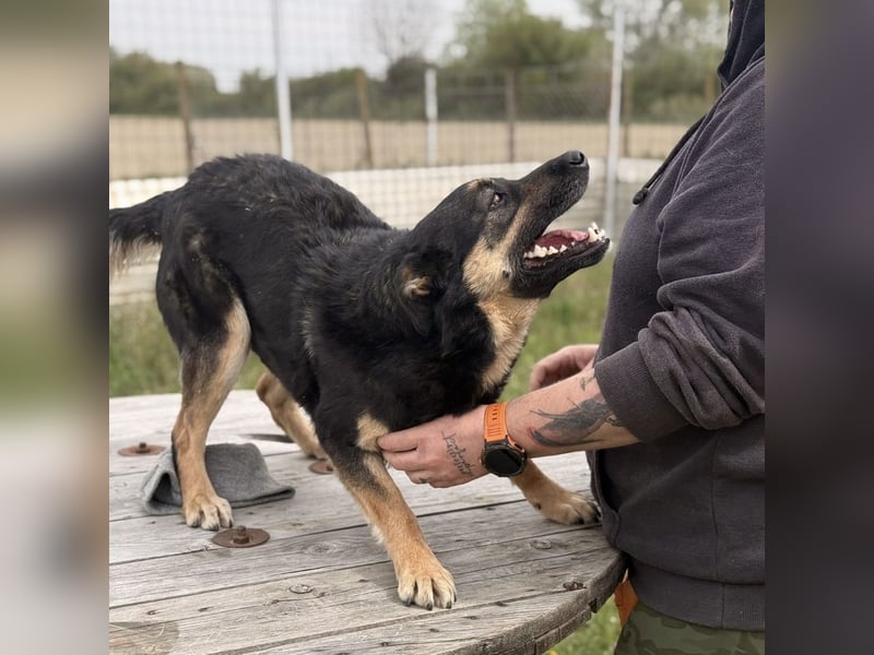 Letty ein freundliches Mädchen