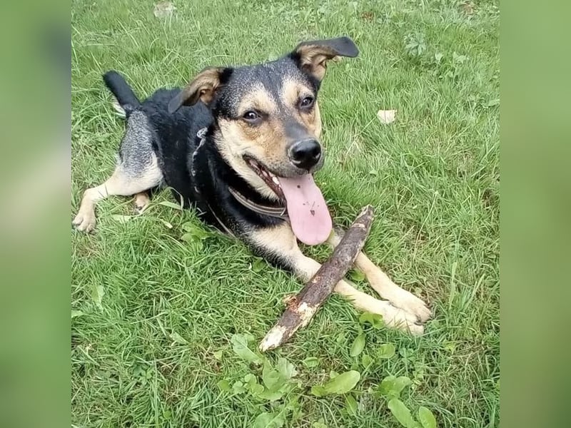 Ferdi ein kleiner freundlicher Schatz