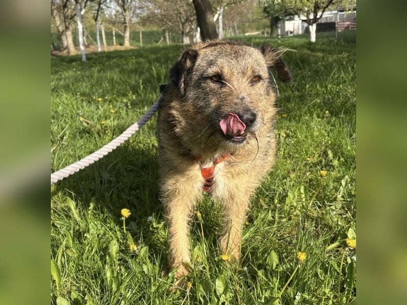 Mars der allerliebste