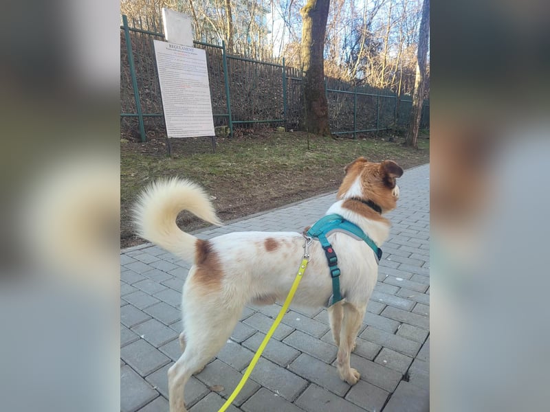 Phoenix, aus der Hölle entkommen, sucht nun seinen Himmel auf Erden