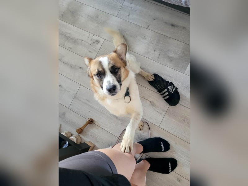 Phoenix, aus der Hölle entkommen, sucht nun seinen Himmel auf Erden