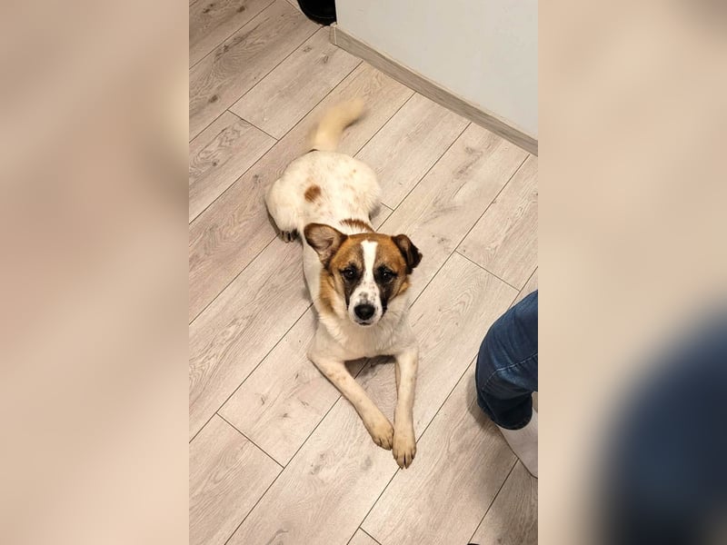 Phoenix, aus der Hölle entkommen, sucht nun seinen Himmel auf Erden