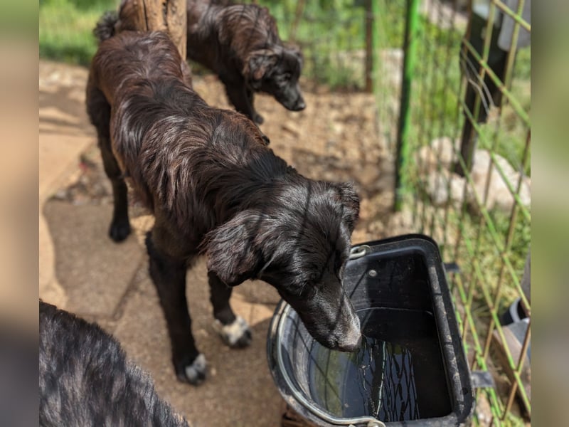 Kikki - Menschen mit Einfühlungsvermögen sind gefragt
