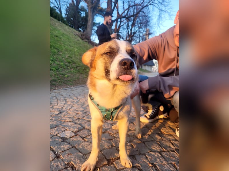 Phoenix, aus der Hölle entkommen, sucht nun seinen Himmel auf Erden