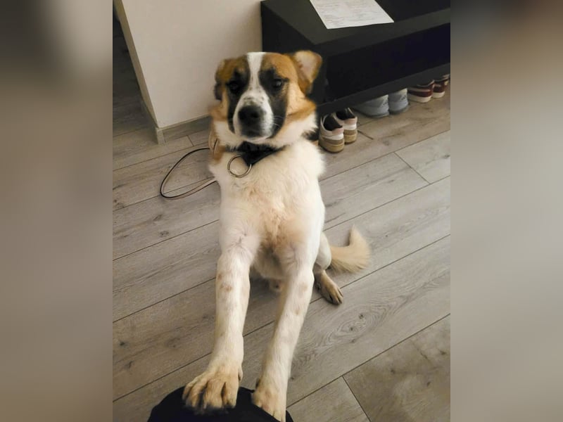 Phoenix, aus der Hölle entkommen, sucht nun seinen Himmel auf Erden