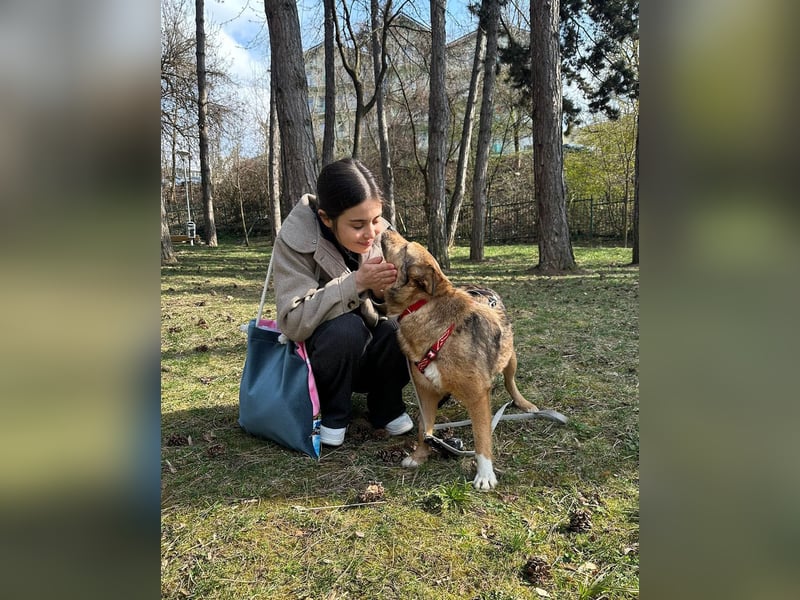 Auch Ema ist der Hölle entkommen und braucht dringend eine liebe Familie