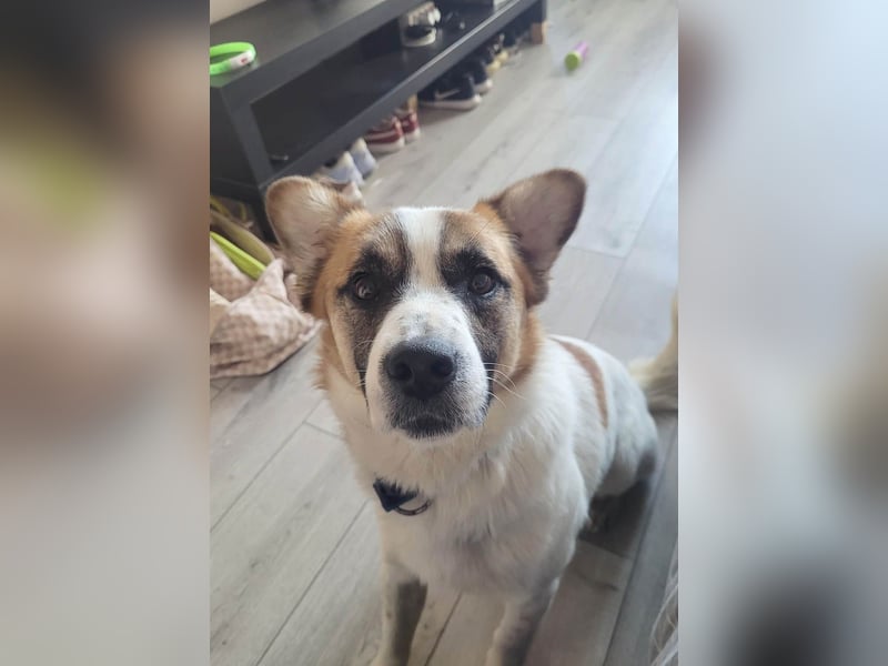 Phoenix, aus der Hölle entkommen, sucht nun seinen Himmel auf Erden