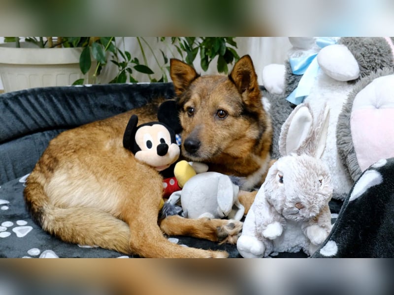 Auch Ema ist der Hölle entkommen und braucht dringend eine liebe Familie