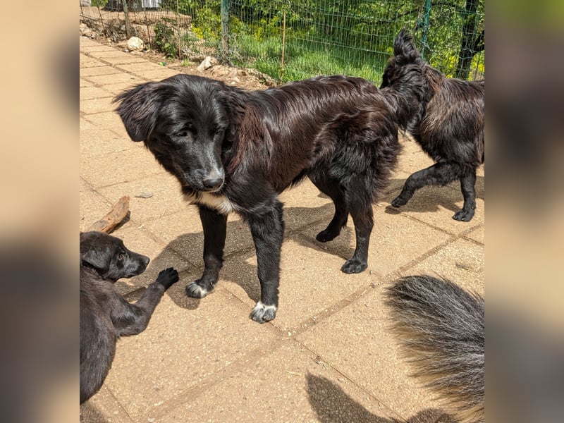 Kikki - Menschen mit Einfühlungsvermögen sind gefragt