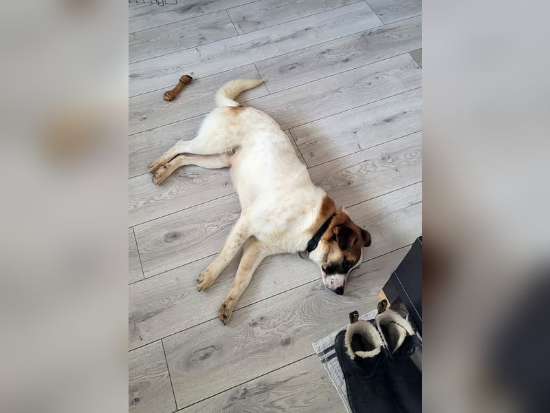 Phoenix, aus der Hölle entkommen, sucht nun seinen Himmel auf Erden