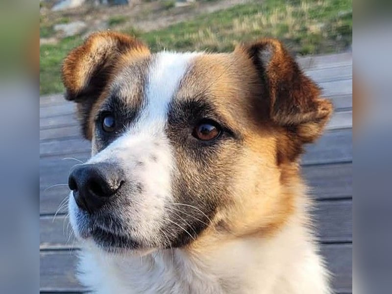 Phoenix, aus der Hölle entkommen, sucht nun seinen Himmel auf Erden