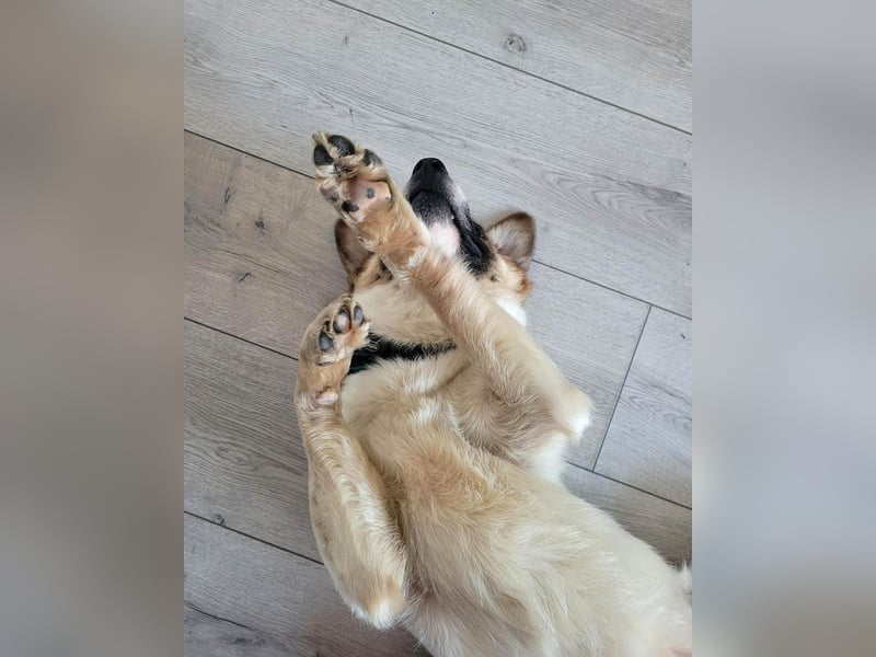 Phoenix, aus der Hölle entkommen, sucht nun seinen Himmel auf Erden