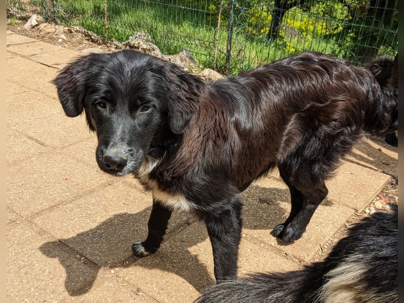 Kikki - Menschen mit Einfühlungsvermögen sind gefragt