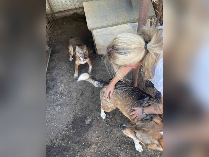 Ronya ist eine zauberhafte Schönheit