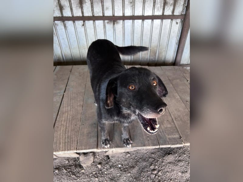 Nanook - ist ein lieber Schatz