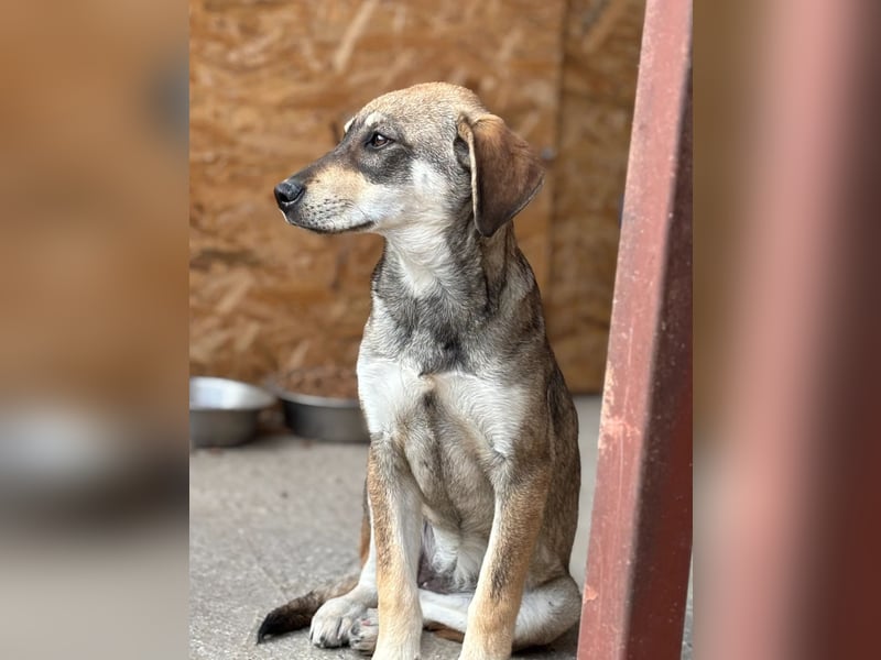 Cassie - leise, sanft und voller Hoffnung