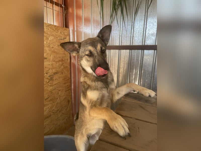 Nalani ist eine Gute - Laune - Fee