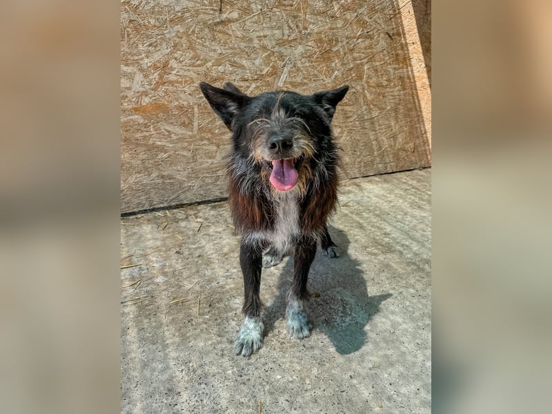 Zorro ist ein Kuschelbär