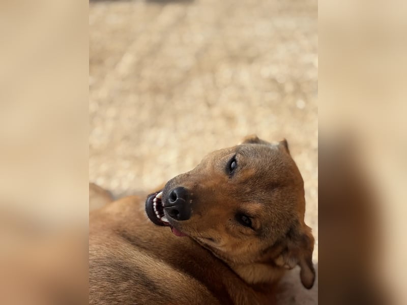Haja ist eine Kuscheltante