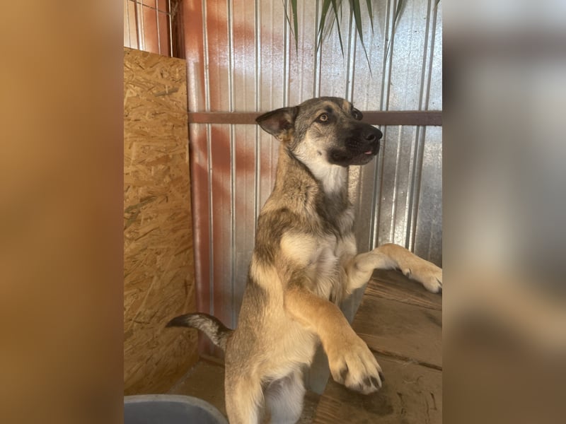 Nalani ist eine Gute - Laune - Fee