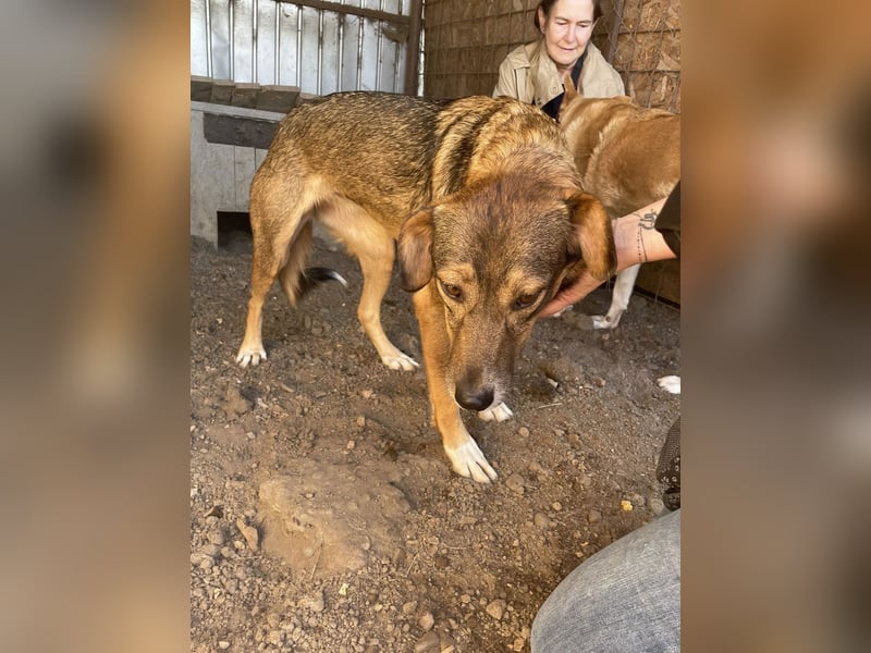 Ronya ist eine zauberhafte Schönheit