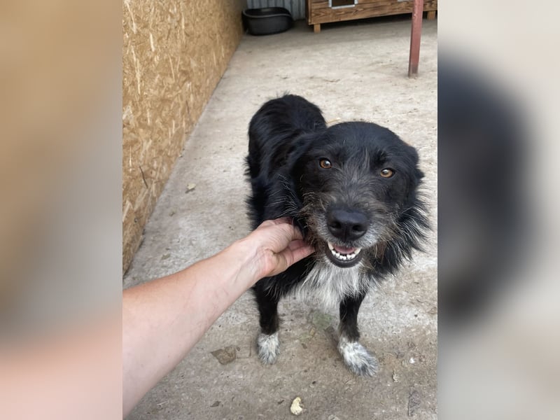 Zorro ist ein Kuschelbär