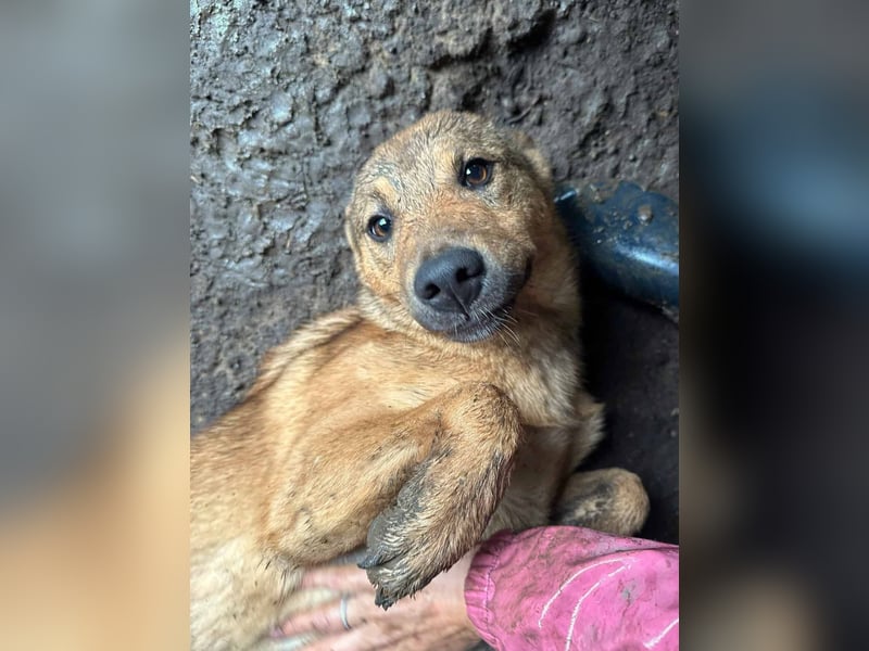 Haja ist eine Kuscheltante