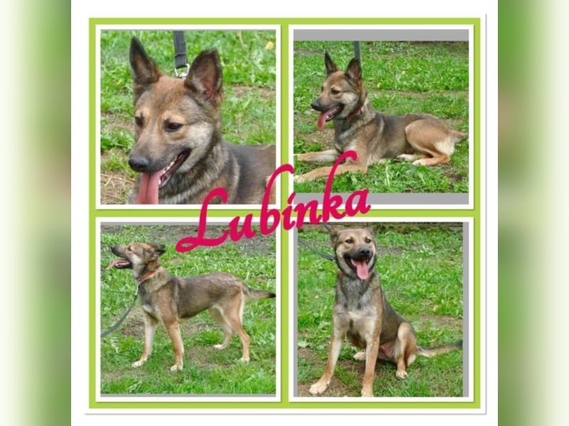 Lubinka ist sehr freundlich und fröhlich