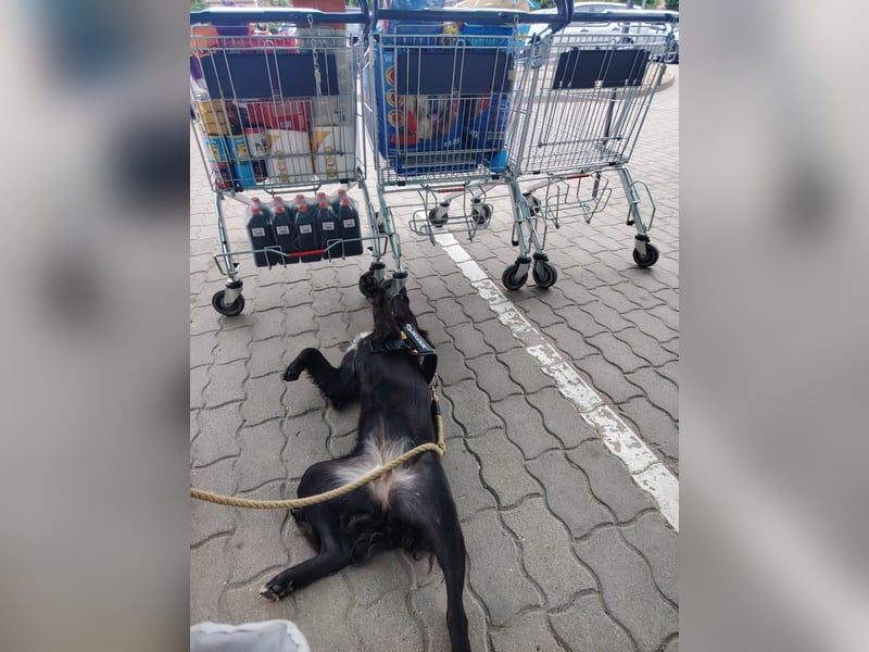 Zauberhafte Elli!