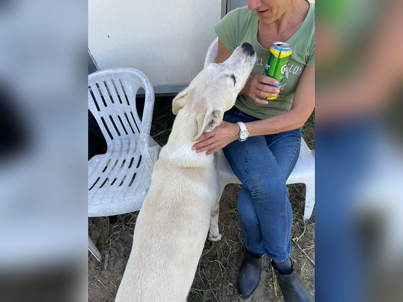 Nucky , 52 cm sucht aktive, naturliebende Menschen
