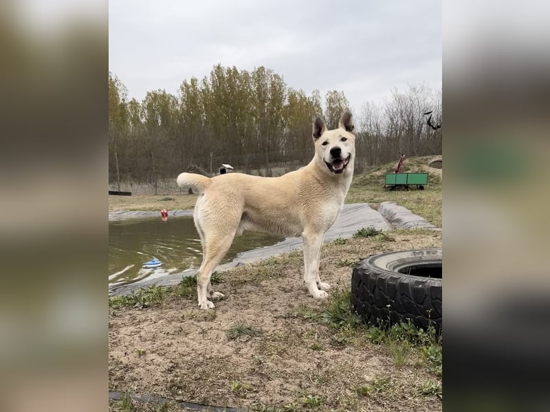 Nucky , 52 cm sucht aktive, naturliebende Menschen
