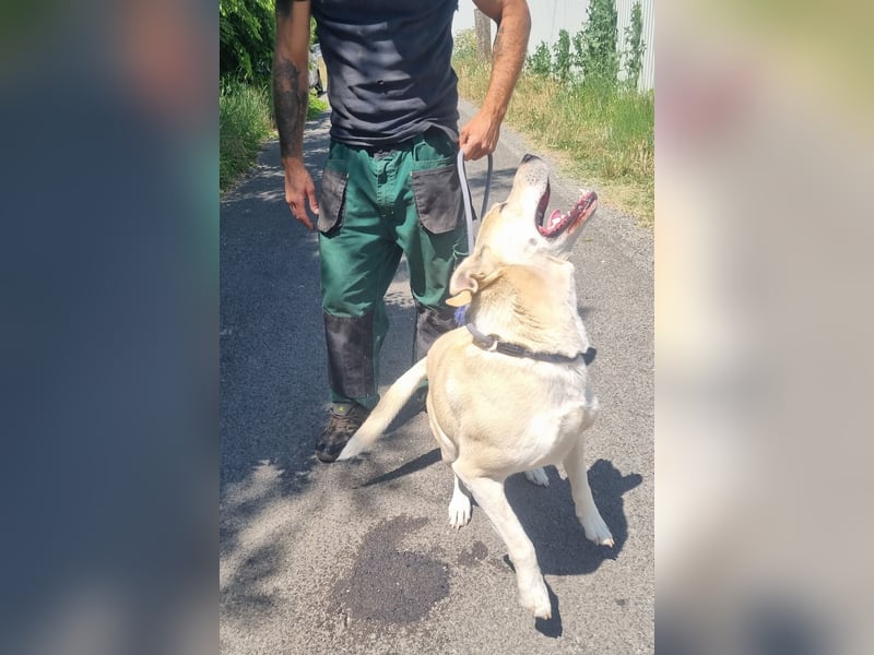 Nucky , 52 cm sucht aktive, naturliebende Menschen