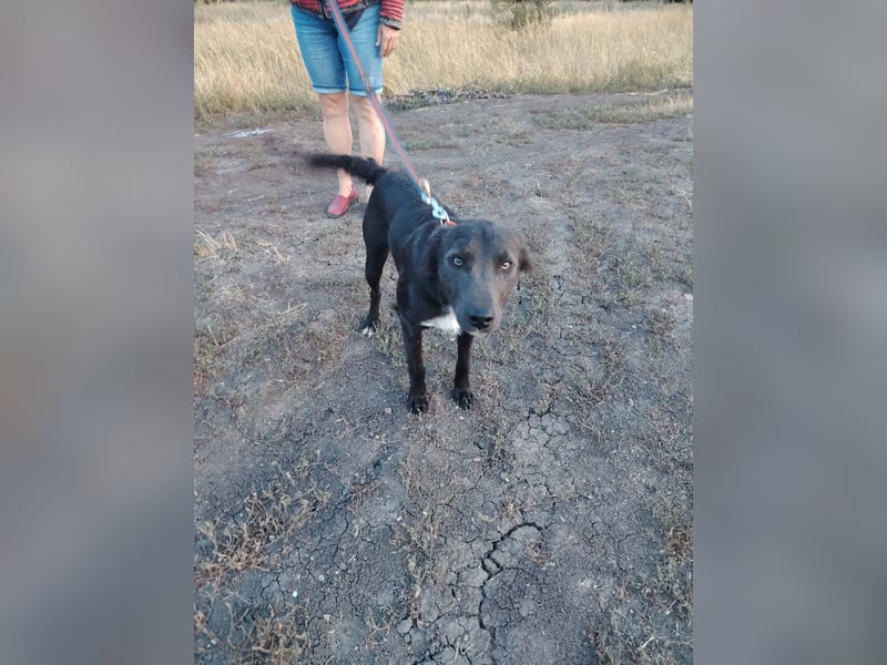Zauberhafte Elli!