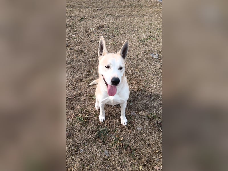 Nucky , 52 cm sucht aktive, naturliebende Menschen