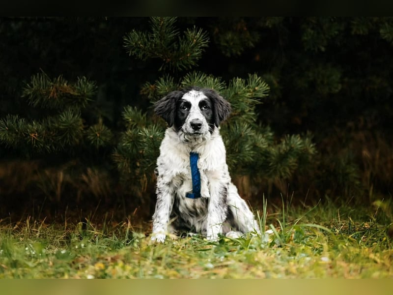 Verschmuster Janko sucht seine Familie