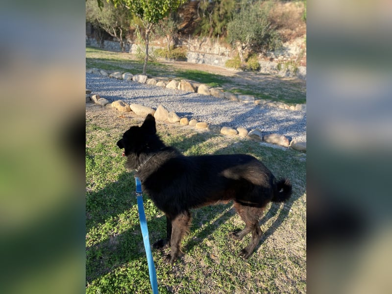 BERND sucht ein Zuhause