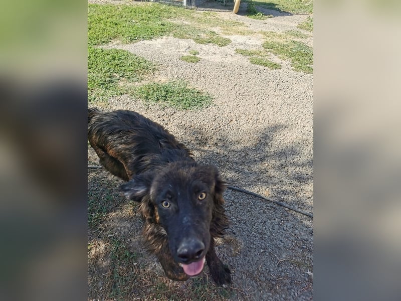 BOBBY- bildschöner Kerl